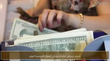 سعر الصرف اليوم.. استقرار ملحوظ في قيمة الدولار داخل البنوك المصرية